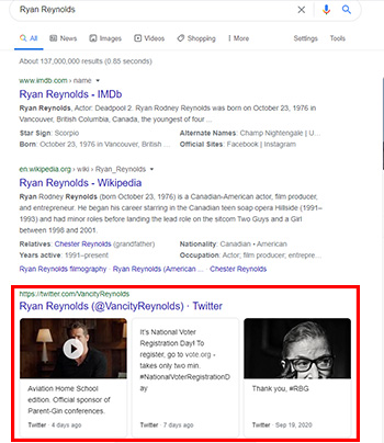 SERP Google Twitter